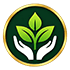 meticulous icon